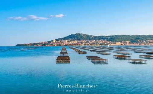 Land in Bouzigues, Occitania, France 1