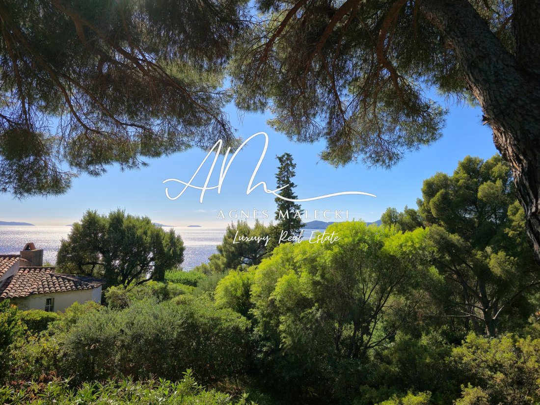 Villa in Le Lavandou, Provence-Alpes-Côte d'Azur, France 5 - 18261256