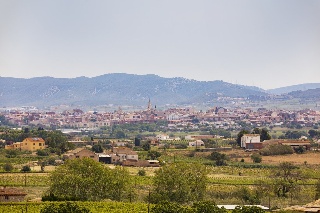 Finca in Castellvi de la Marca, Catalonia, Spain 5 - 18471304