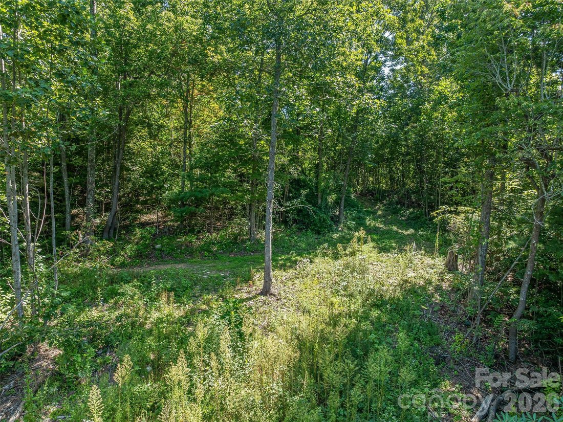 Land in Fairview, North Carolina, United States 5 - 18460006
