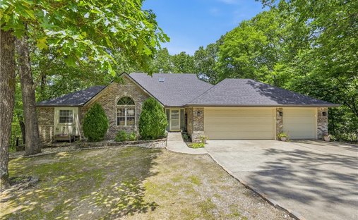 House in Bella Vista, Arkansas, United States 1