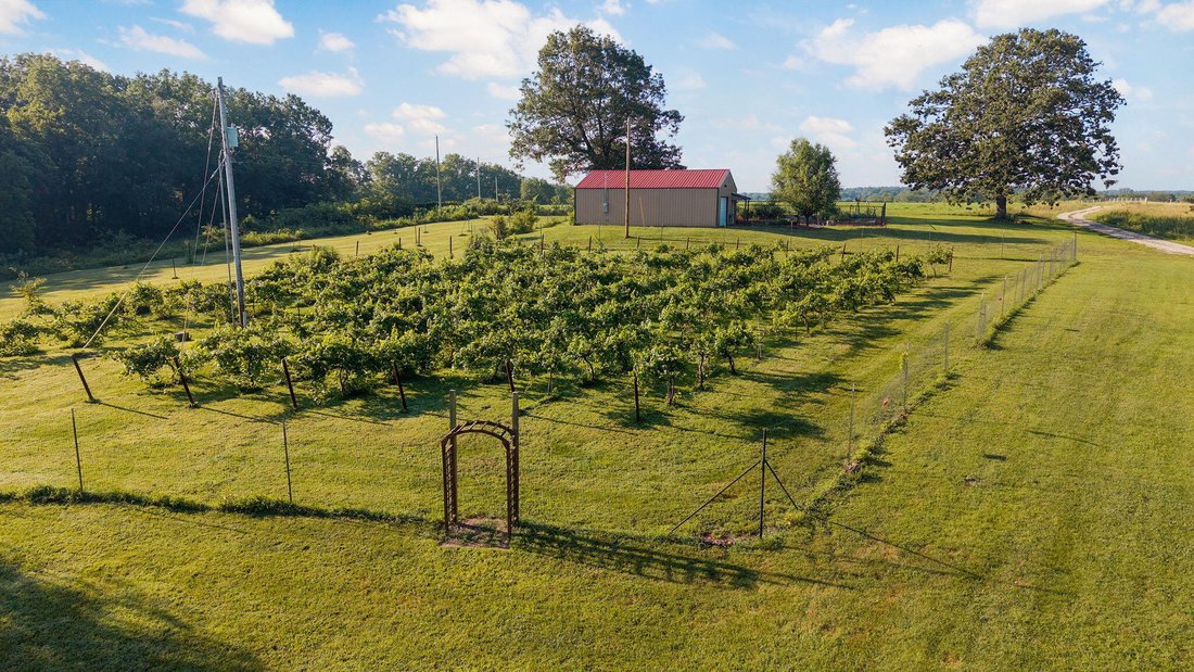 Farm Ranch in Springfield, Missouri, Vereinigte Staaten 4 - 17356630