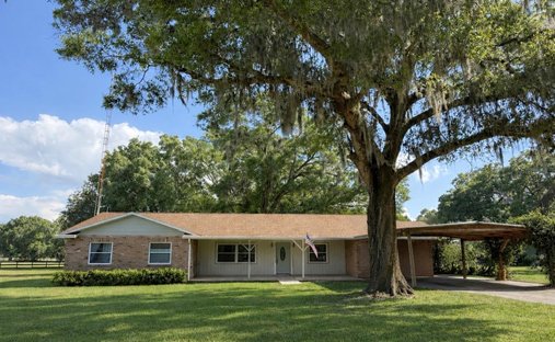 Azienda agricola a Reddick, Florida, Stati Uniti 1