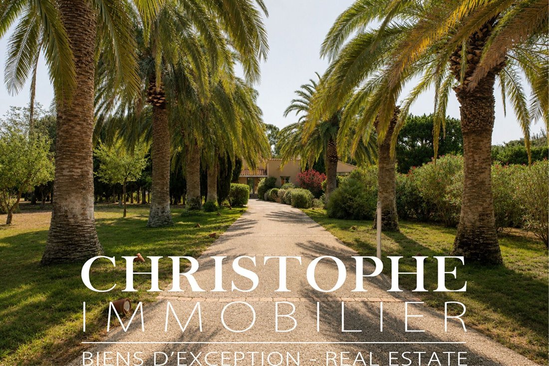 Villa in Saint-Cyprien, Occitania, France 3 - 18459399