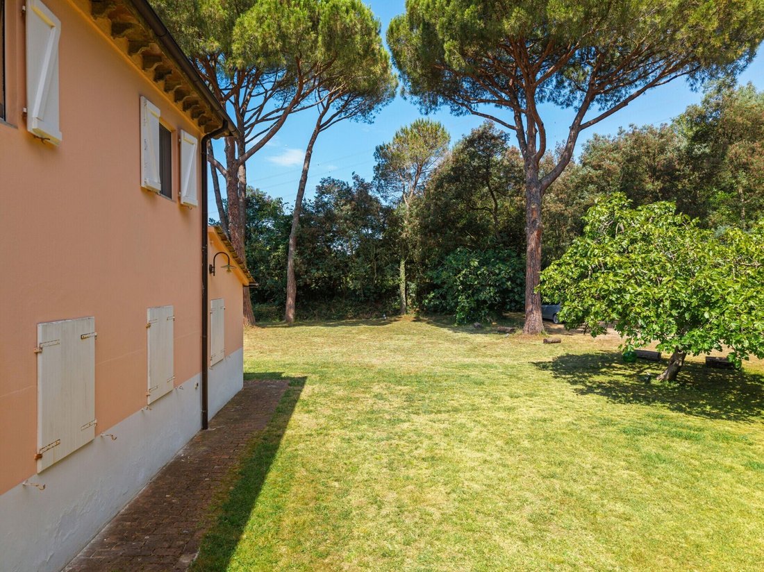 House in Fauglia, Tuscany, Italy 5 - 18465687
