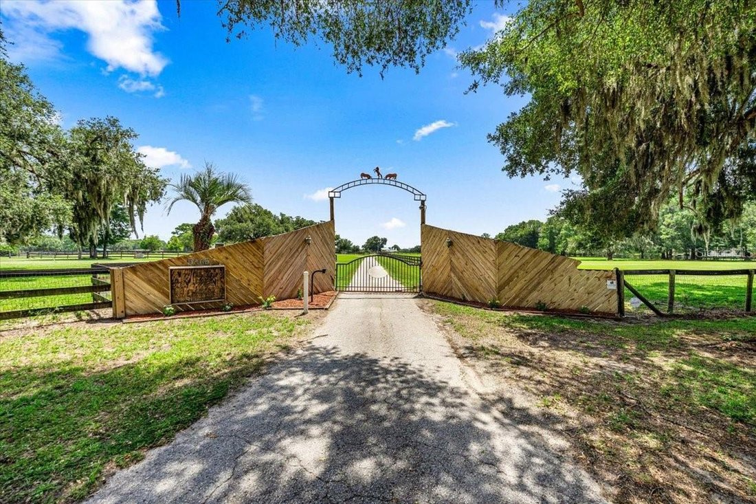 Land in Morriston, Florida, United States 2 - 18463501