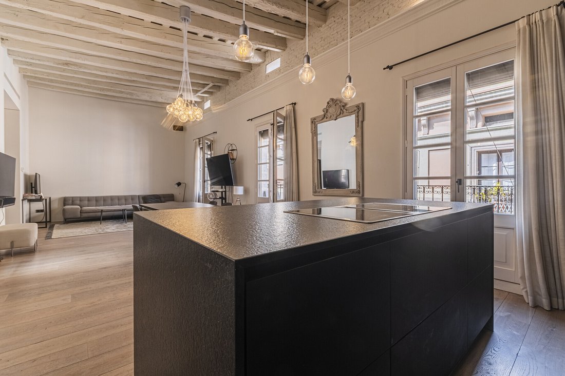 Apartment in Ciutat Vella, Barcelona, Spain 5 - 18471350