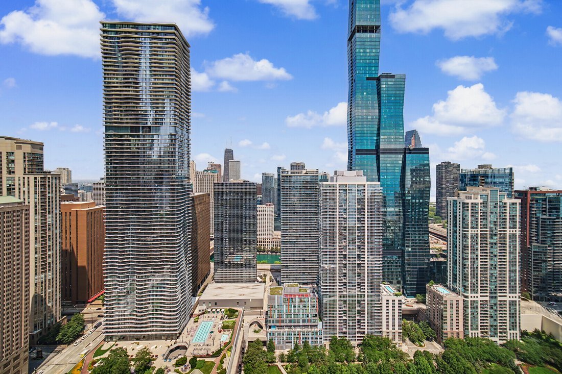 Condo in Chicago, Illinois, United States 5 - 18456217