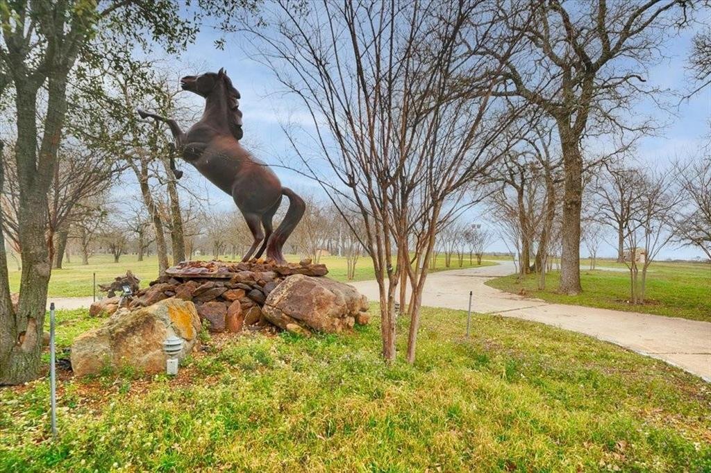 Land in Pilot Point, Texas, United States 2 - 18470625