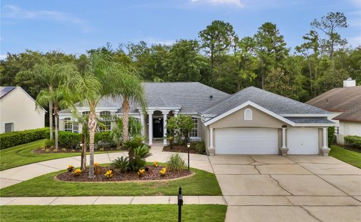 Maison à Orlando, Floride, États-Unis 1