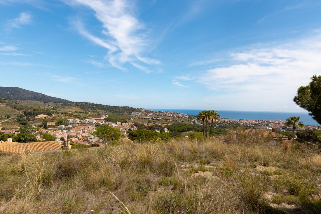 Land in Alella, Catalonia, Spain 3 - 18471982