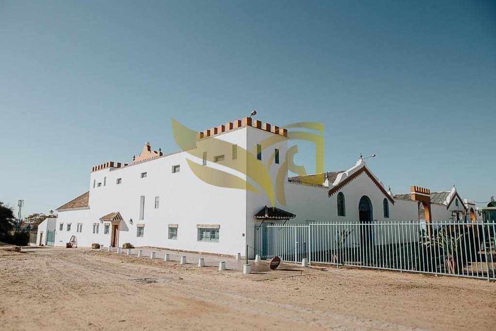 Apartment in Carmona, Andalusia, Spain 1 - 18463900