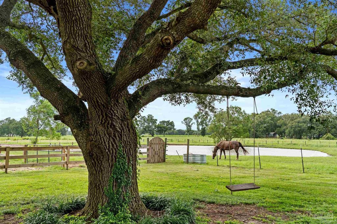 House in Daphne, Alabama, United States 3 - 18468865