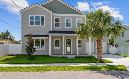 Maison à Tampa, Floride, États-Unis 1