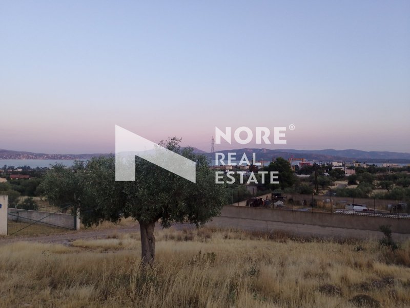 Land in Megara, Attica, Greece 3 - 18469148