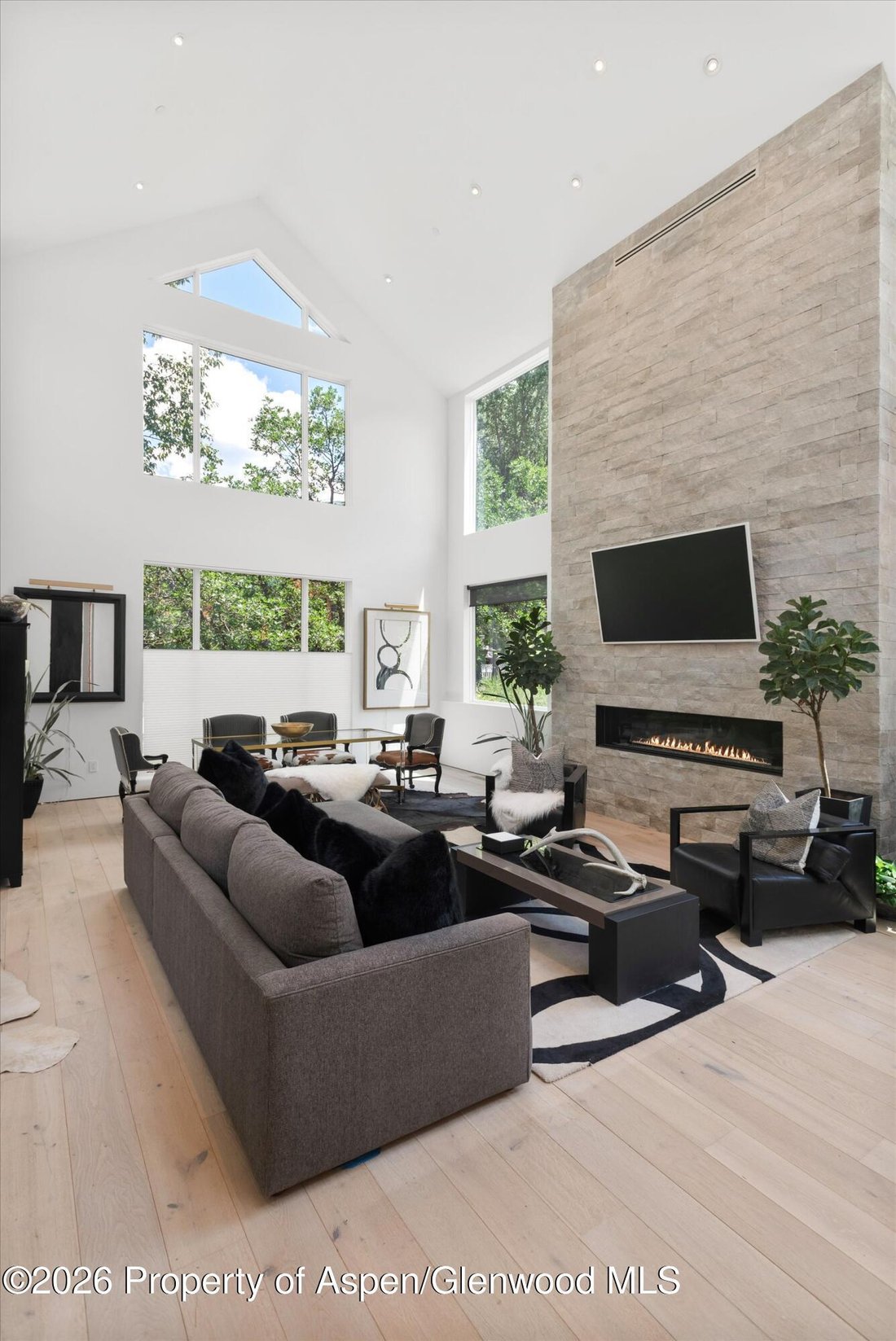 House in Aspen, Colorado, United States 5 - 18419743