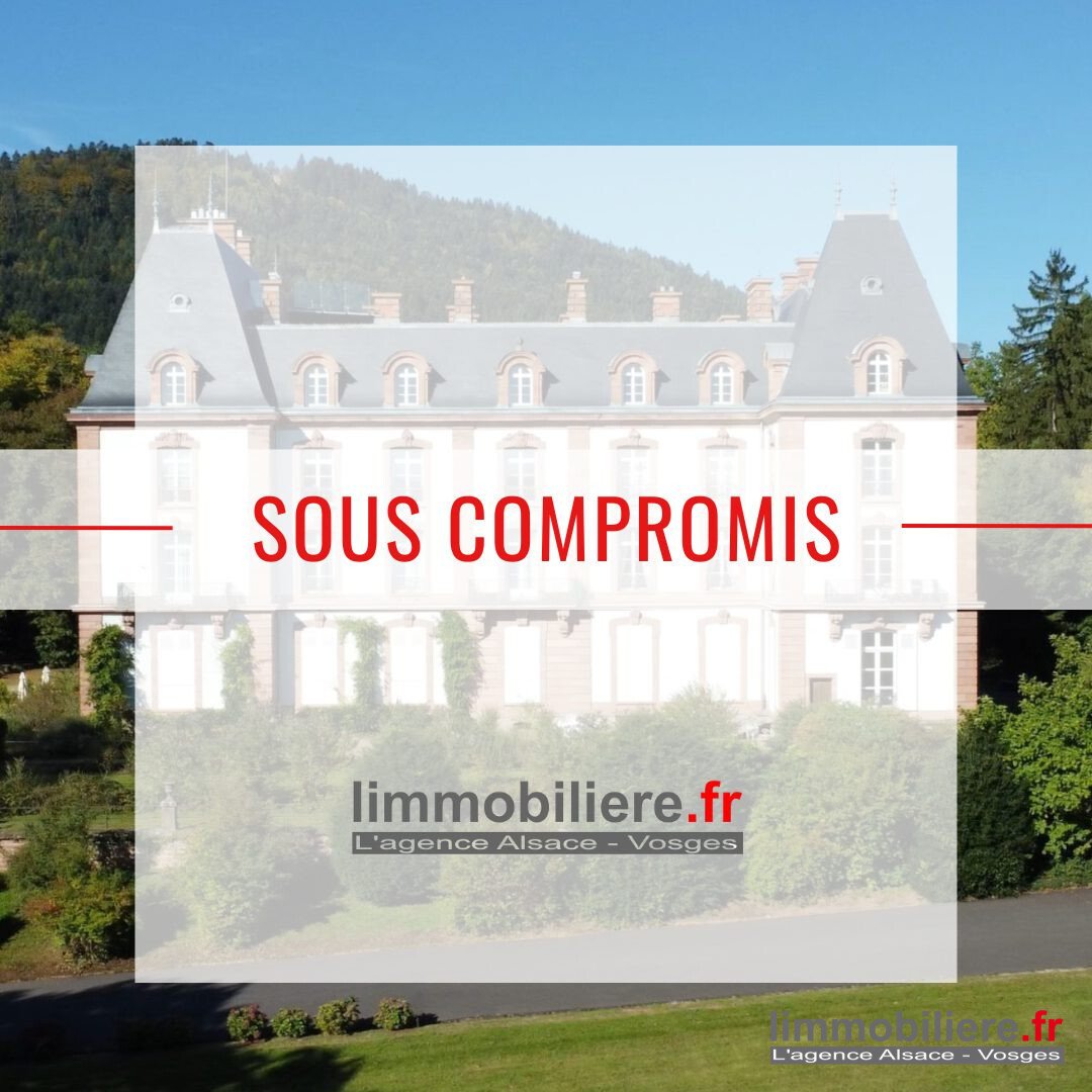 Apartment in Centre Ville, Saint-Die-des-Vosges, France 1 - 17912271