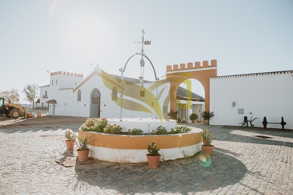 Apartment in Carmona, Andalusia, Spain 4 - 18463900