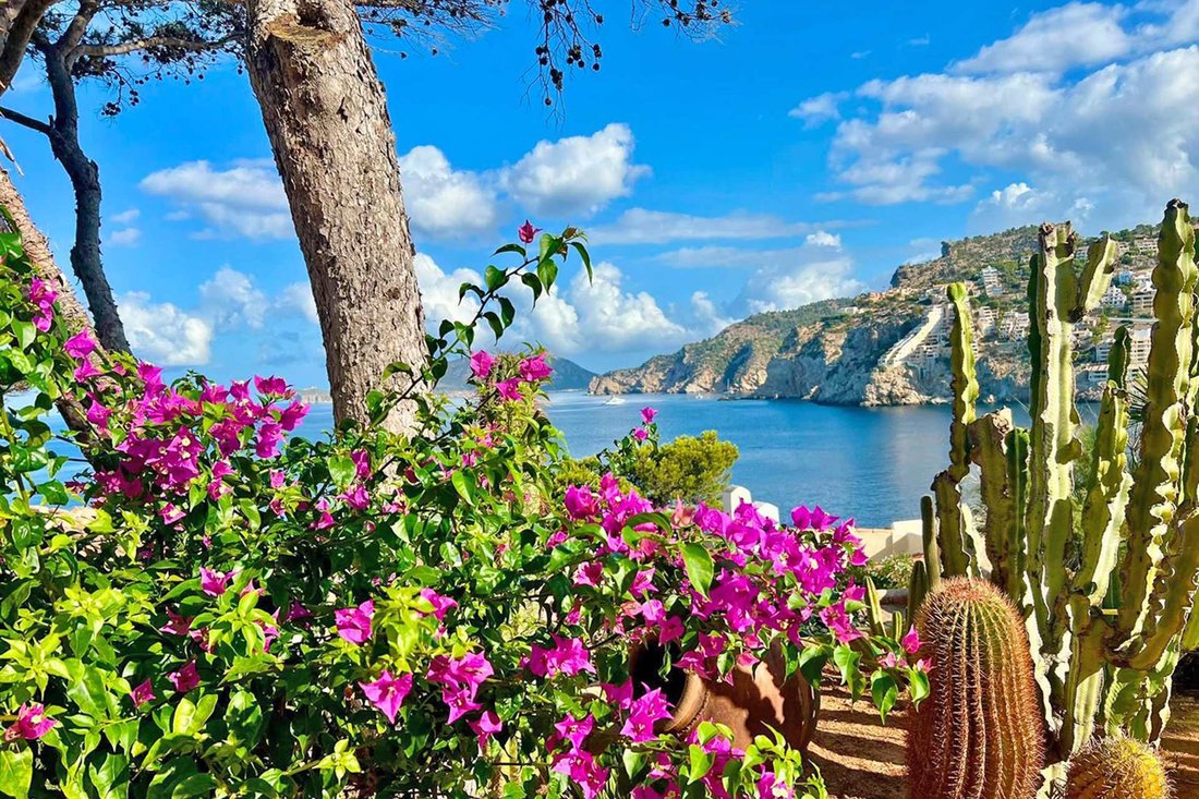 Villa in Port d'Andratx, Andratx, Balearic Islands 4 - 18458645