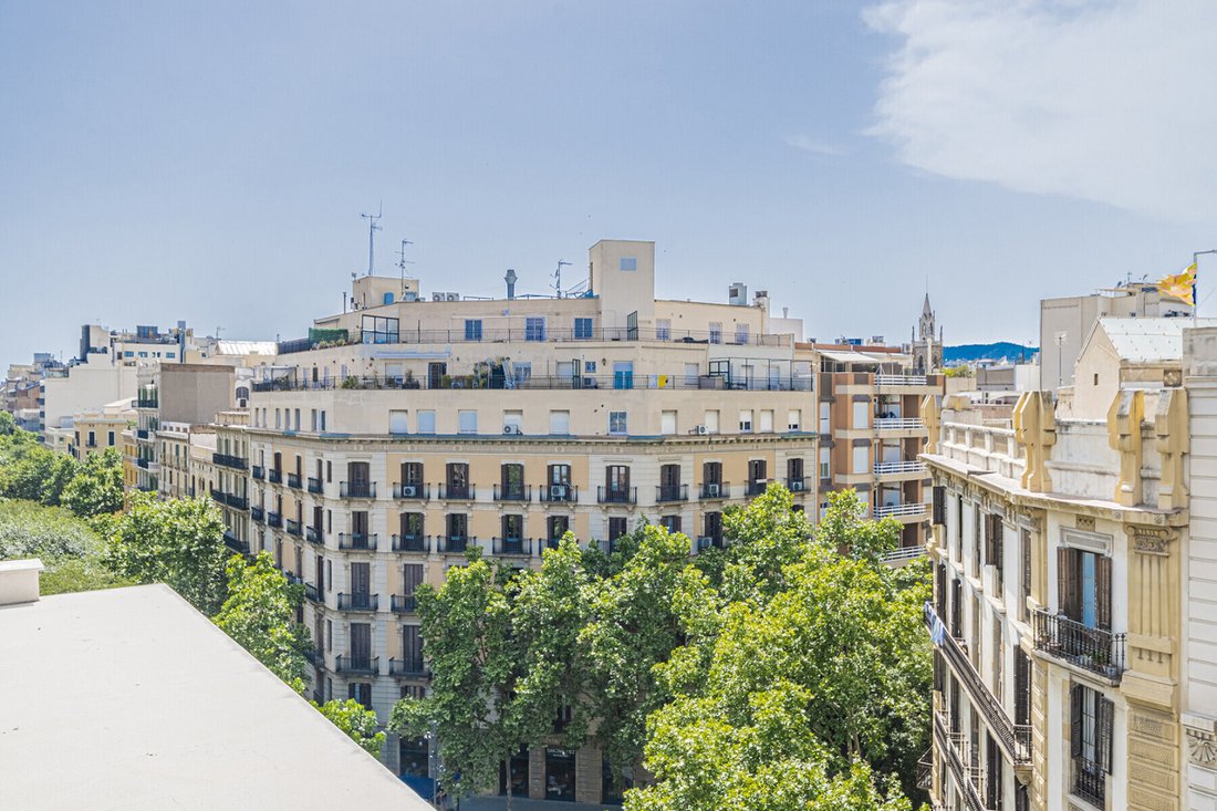 Apartment in Eixample, Barcelona, Spain 4 - 18471056