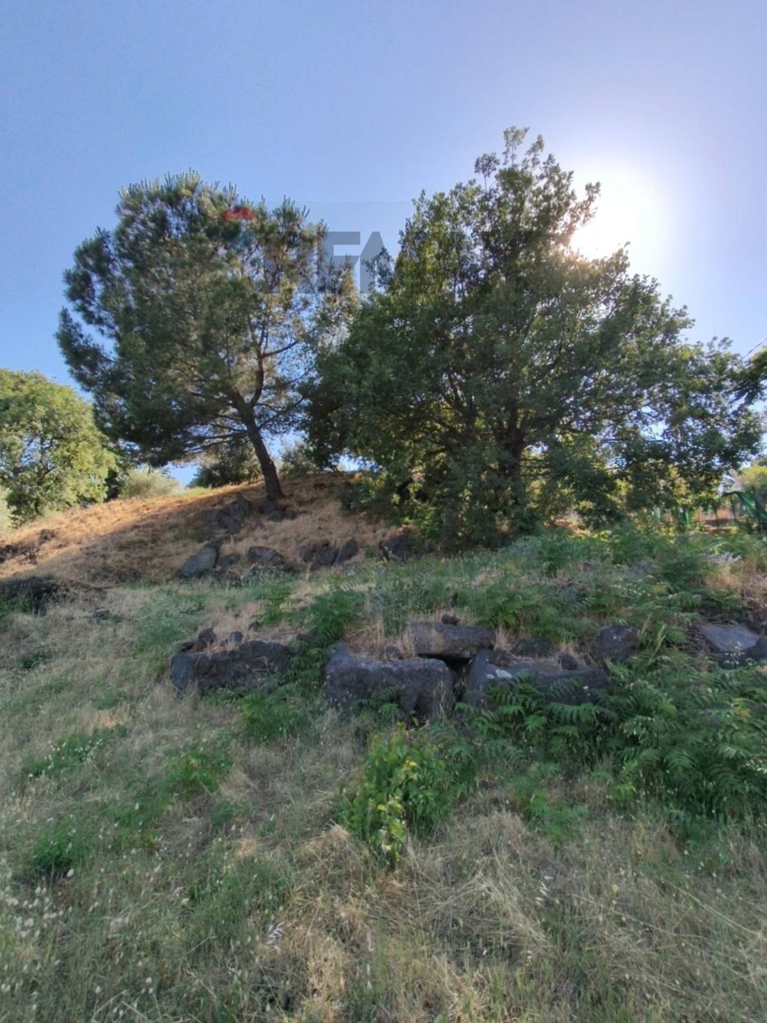 Land in Nesima Inferiore, Catania, Italy 2 - 18464917