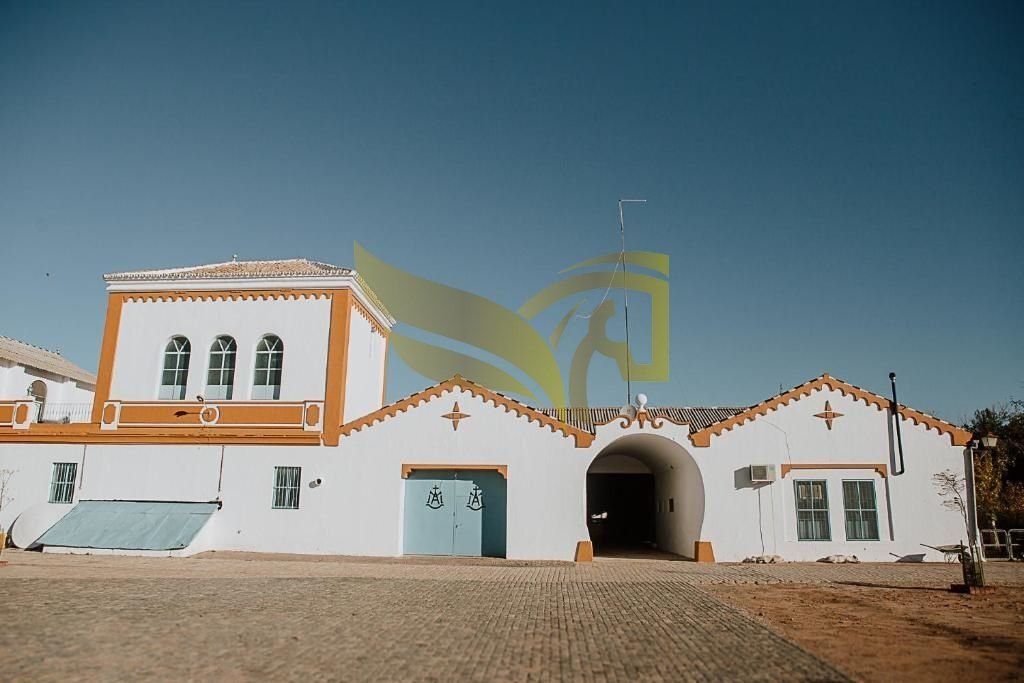 Apartment in Carmona, Andalusia, Spain 2 - 18463900