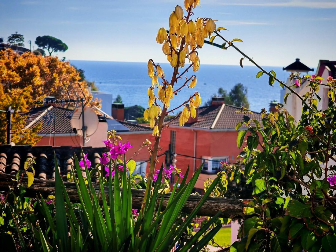 Townhouse in Canet De Mar, Catalonia, Spain 4 - 18464417