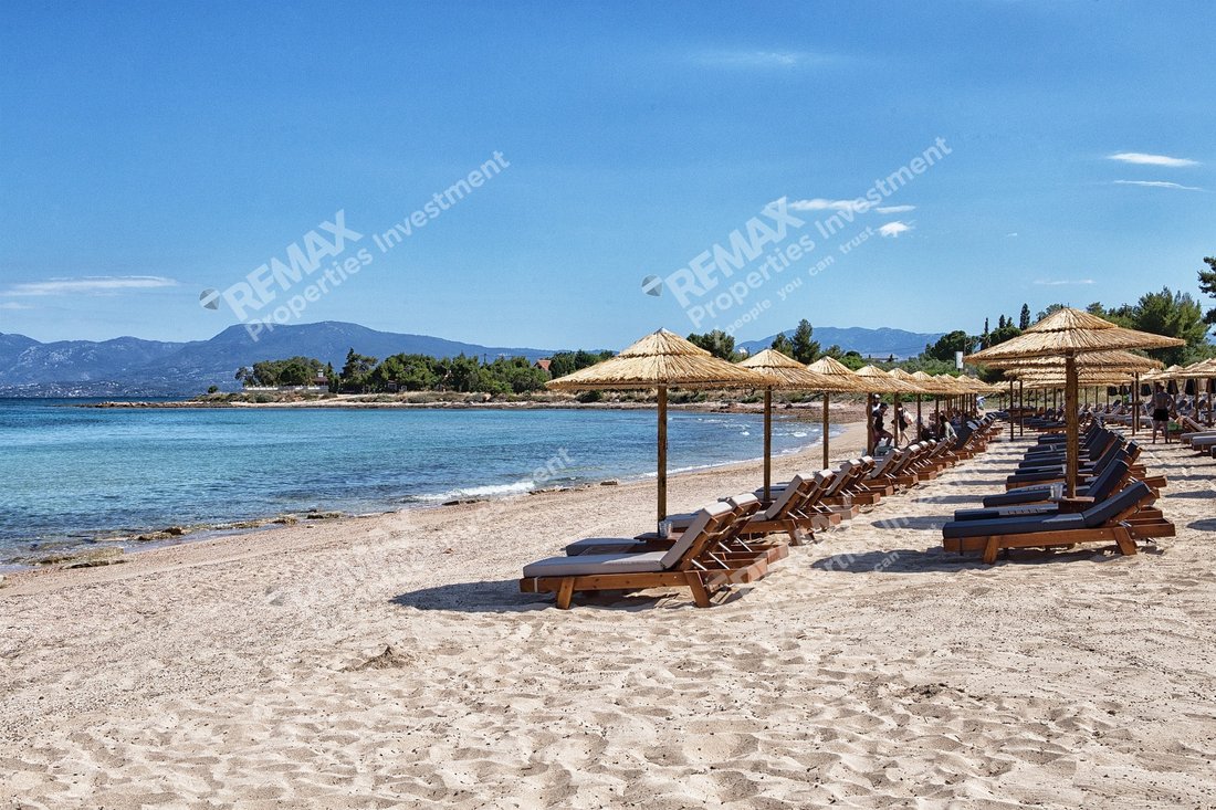 Condo in Avlis, Thessaly and Central Greece, Greece 4 - 18455650