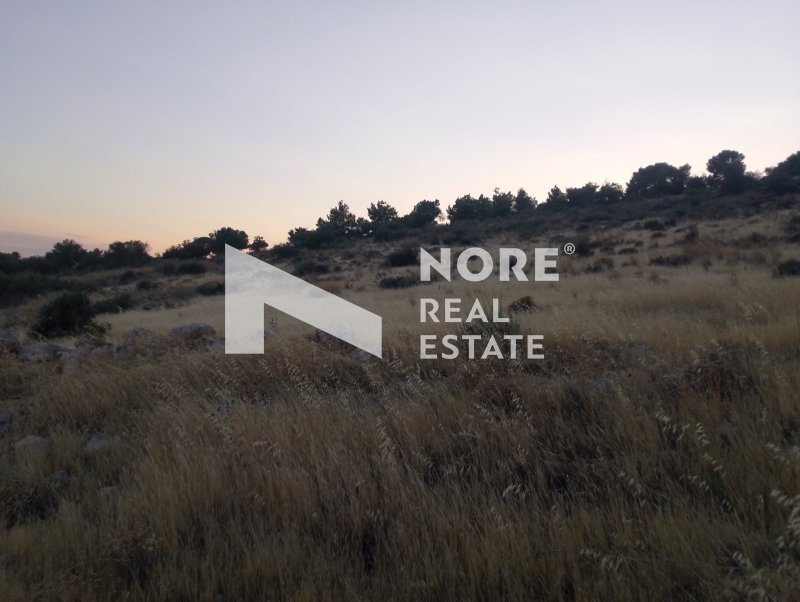 Land in Megara, Attica, Greece 5 - 18469148