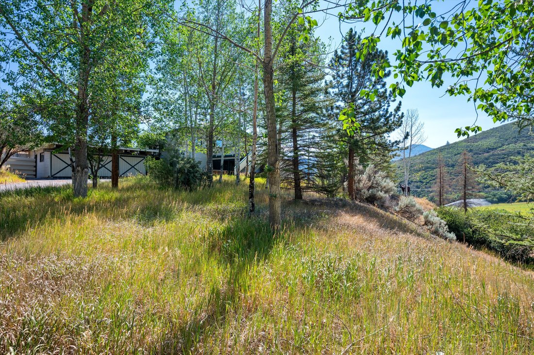House in Aspen, Colorado, United States 5 - 18457696