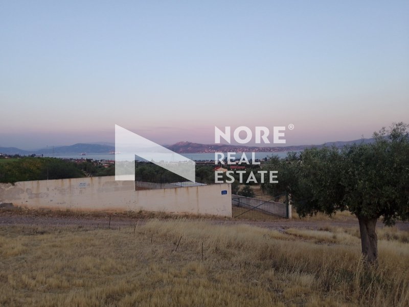 Land in Megara, Attica, Greece 4 - 18469148