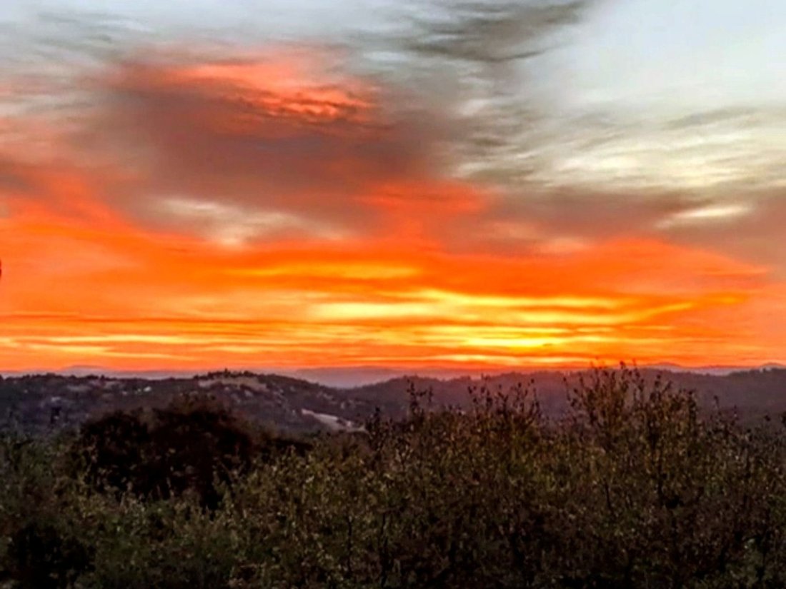 Diamond Springs, California, United States 2 - 18464341