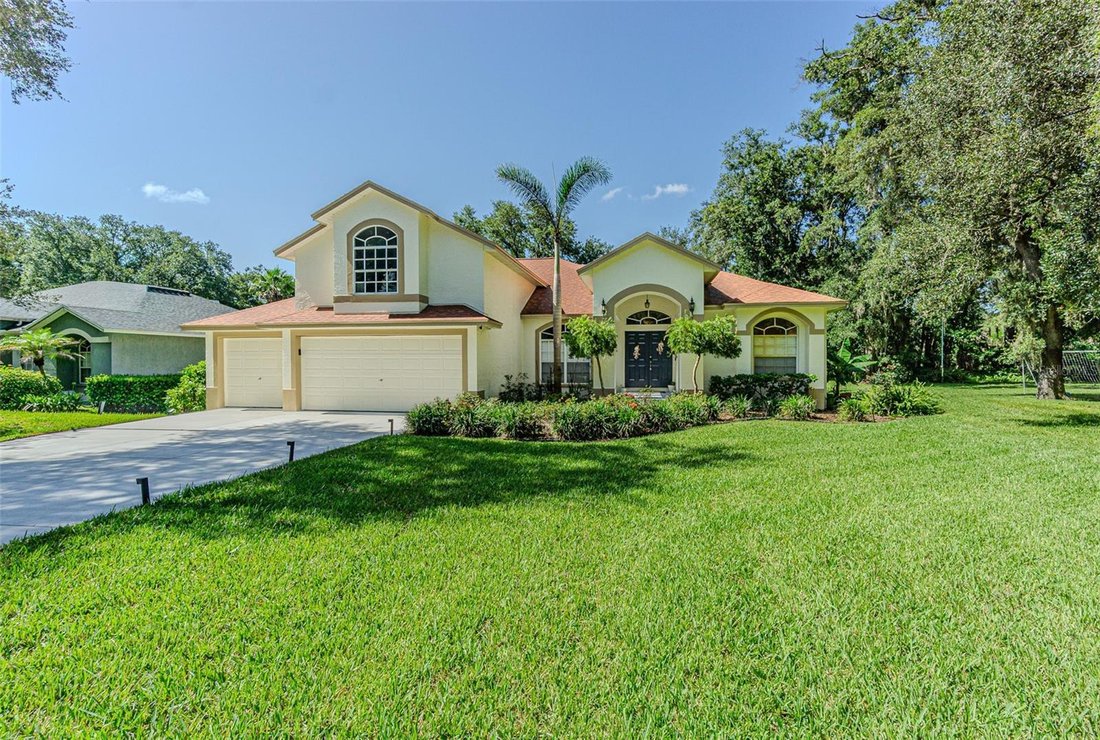 House in Lutz, Florida, United States 2 - 18468508