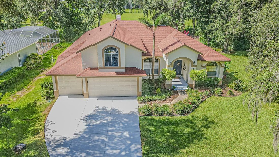 House in Lutz, Florida, United States 1 - 18468508