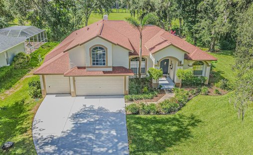 House in Lutz, Florida, United States 1