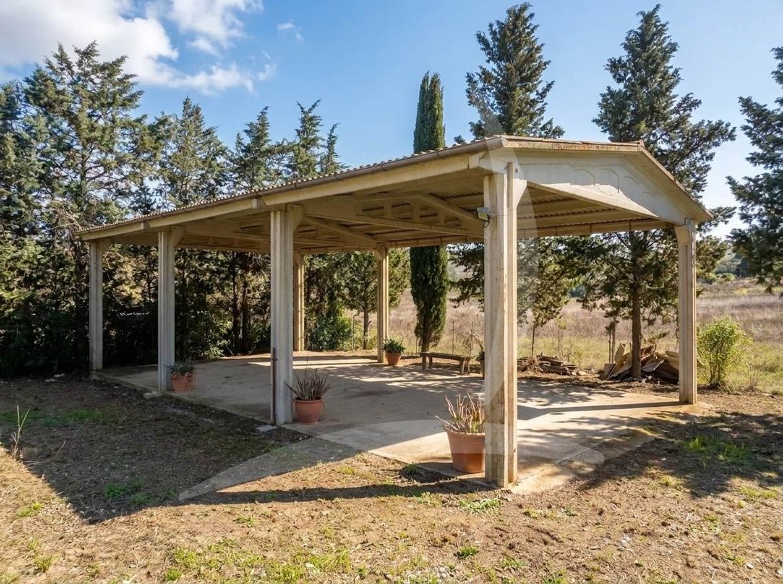 Altro a Cinigiano, Toscana, Italia 5 - 18460593