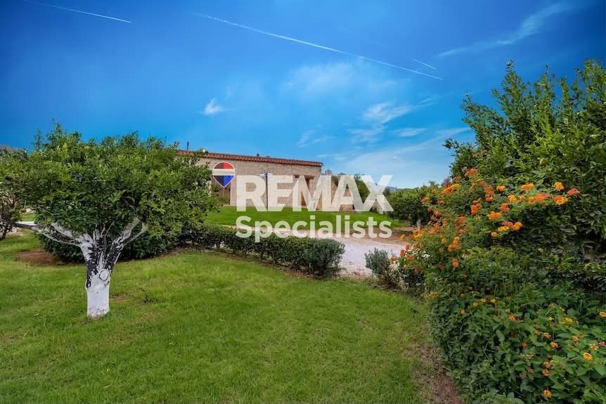 Condo in Crete, Greece 4 - 18455630