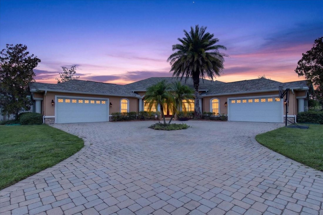 House in Odessa, Florida, United States 1 - 18458808
