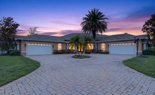 House in Odessa, Florida, United States 1