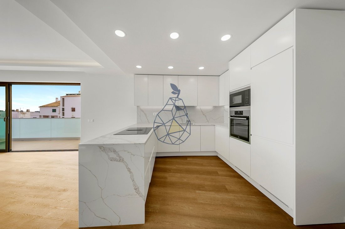Apartment in Agueda e Borralha, Aveiro District, Portugal 3 - 17349355
