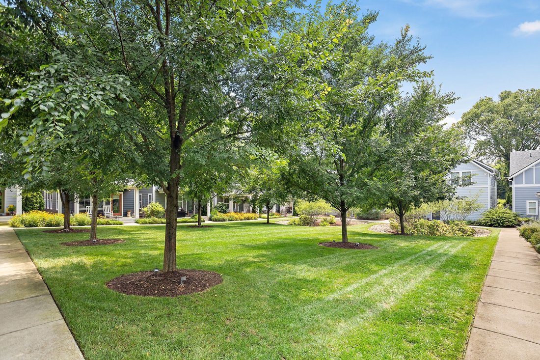 Co Op in Nashville, Tennessee, United States 3 - 18463014