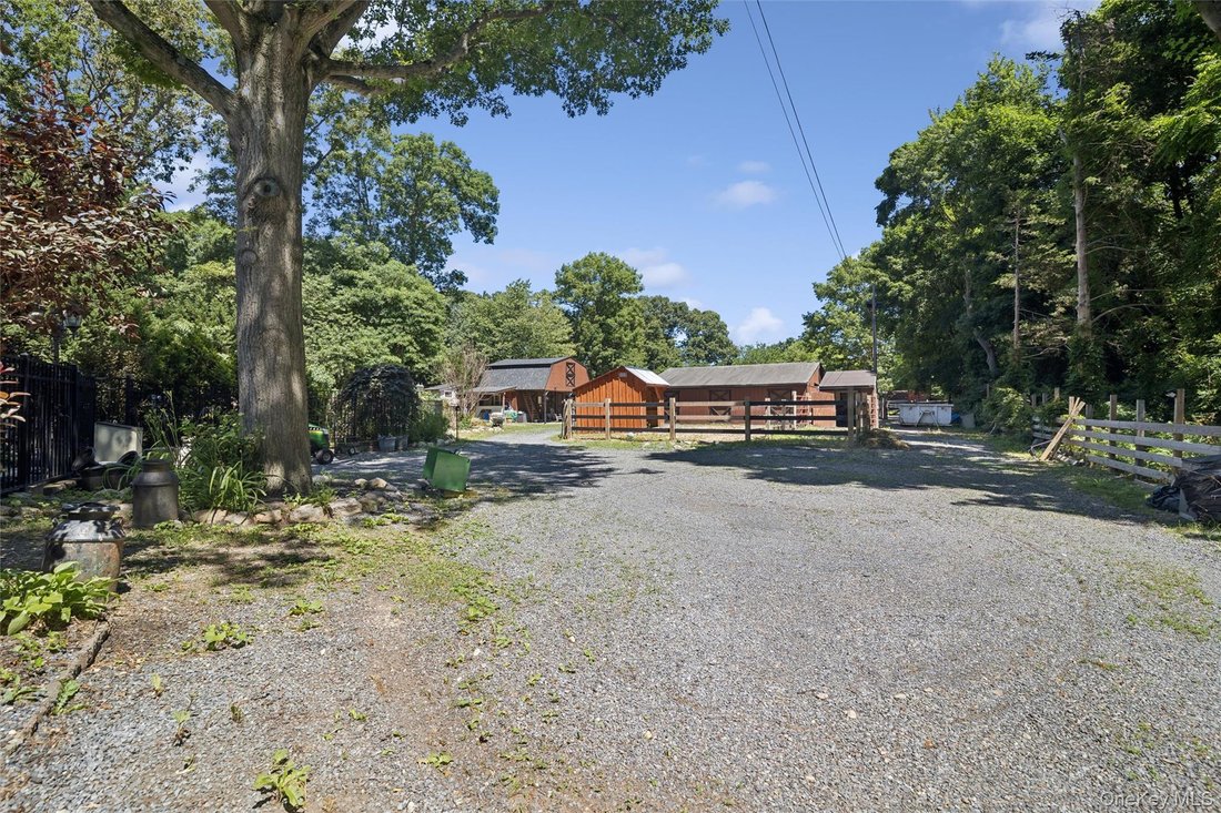 Smithtown, New York, United States 3 - 18471770