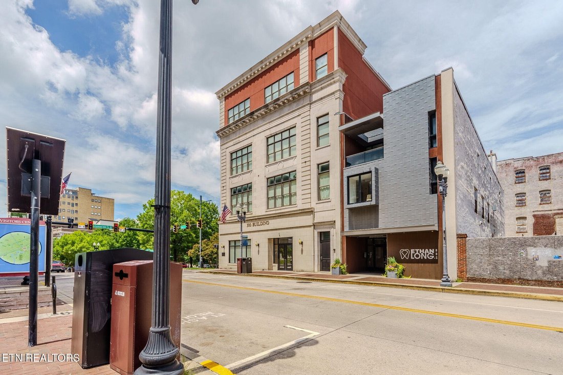Condo in Knoxville, Tennessee, United States 1 - 18459732