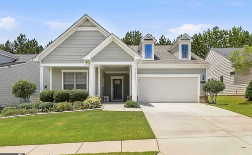 House in Peachtree City, Georgia, United States 1