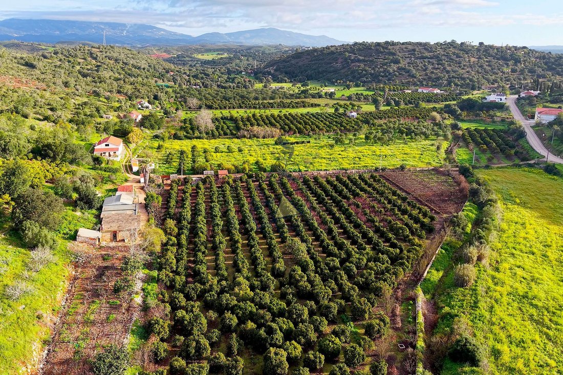 Farm Ranch in Mexilhoeira Grande, Algarve, Portugal 3 - 15321356
