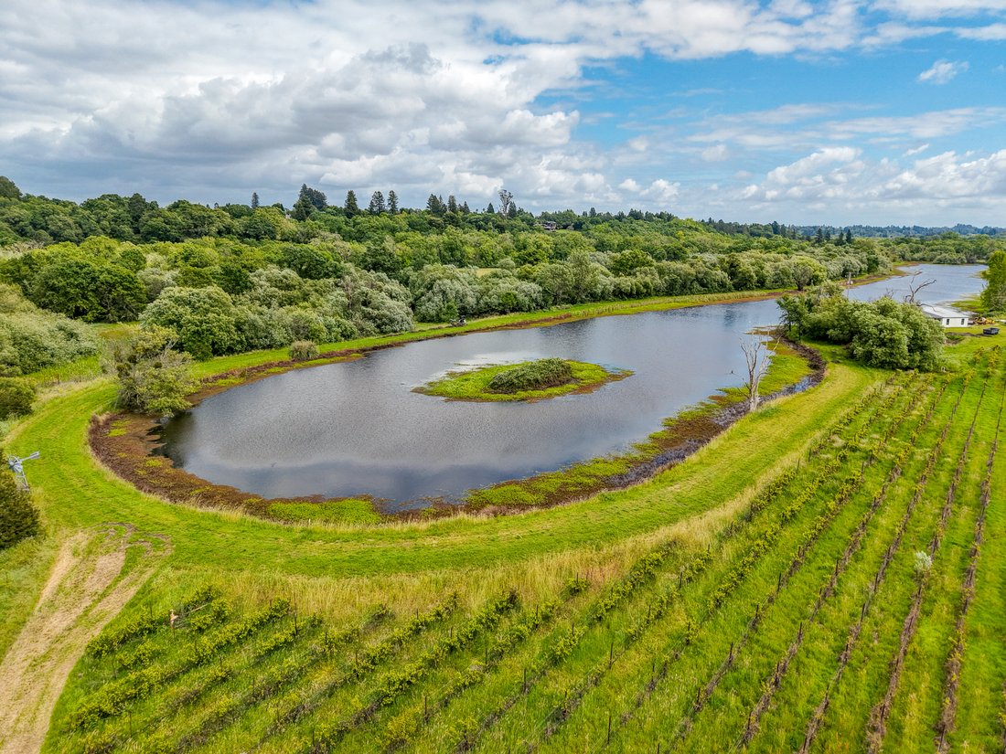 Land in Sebastopol, California, United States 2 - 18464272