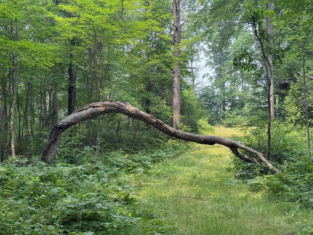 Land in Spooner, Wisconsin, United States 4 - 18322411