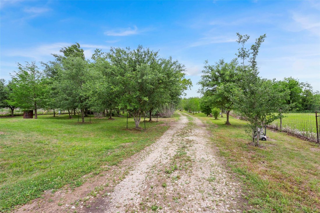 Haus in Brookside Village, Texas, Vereinigte Staaten 2 - 18459987