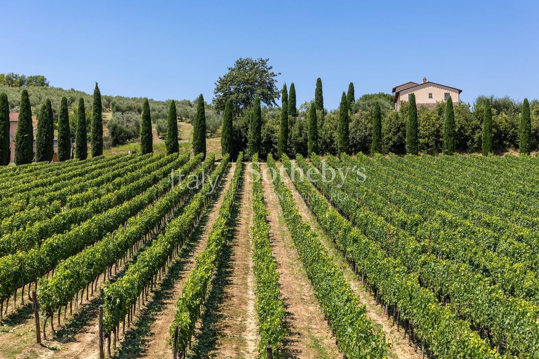 House in Chiusi, Tuscany, Italy 3 - 18465415