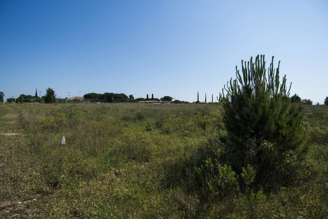 Land in Navata, Catalonia, Spain 5 - 18472268